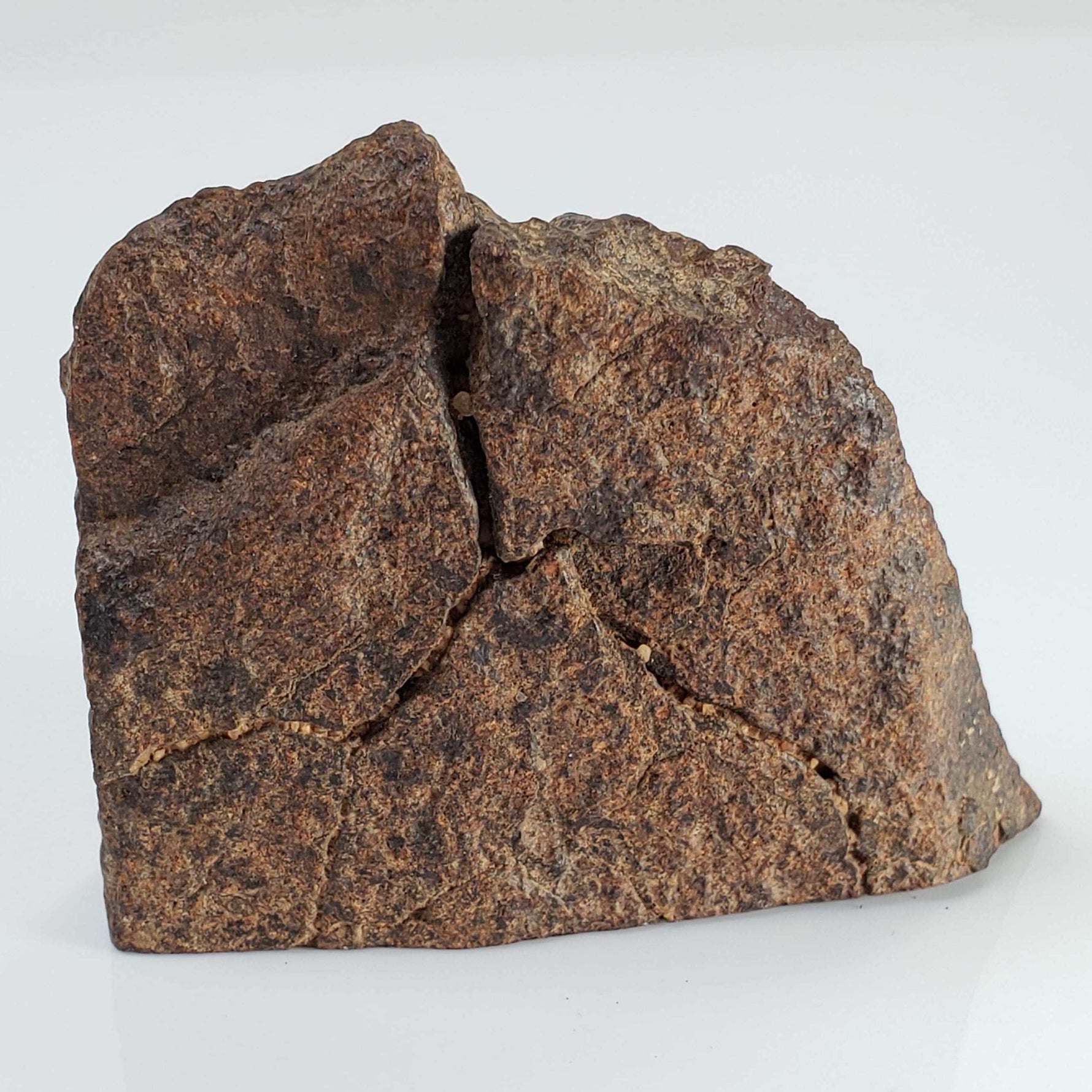  Northwest Africa NWA Meteorite | 64.5 Grams | End Cut | Sahara 5