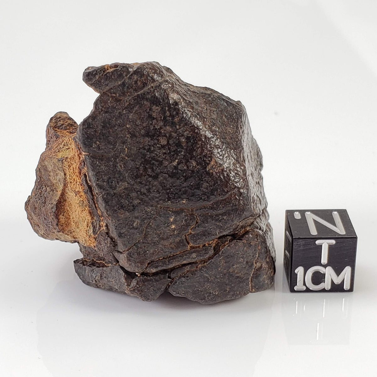  Northwest Africa NWA Meteorite | 65 Grams | Individual Fragment | Sahara 