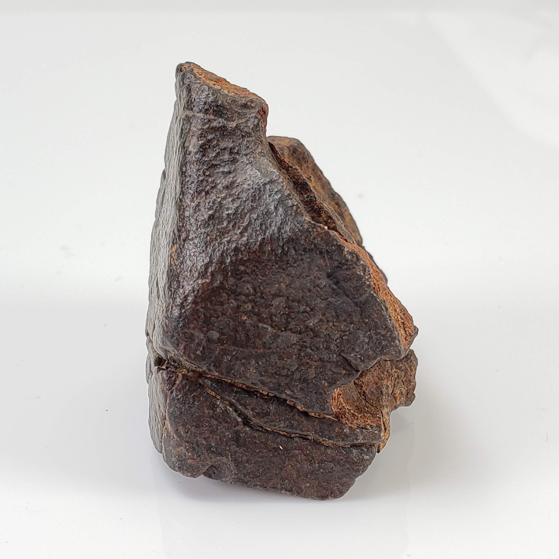  Northwest Africa NWA Meteorite | 65 Grams | Individual Fragment | Sahara 4