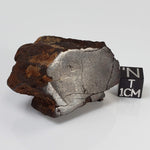  Northwest Africa NWA Meteorite | 69.9 Grams | End Cut | Sahara 