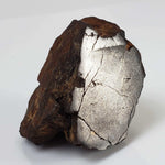  Northwest Africa NWA Meteorite | 69.9 Grams | End Cut | Sahara 4