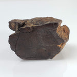  Northwest Africa NWA Meteorite | 69.9 Grams | End Cut | Sahara 1