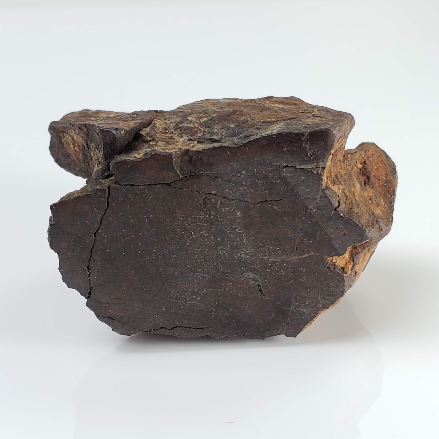  Northwest Africa NWA Meteorite | 69.9 Grams | End Cut | Sahara 1