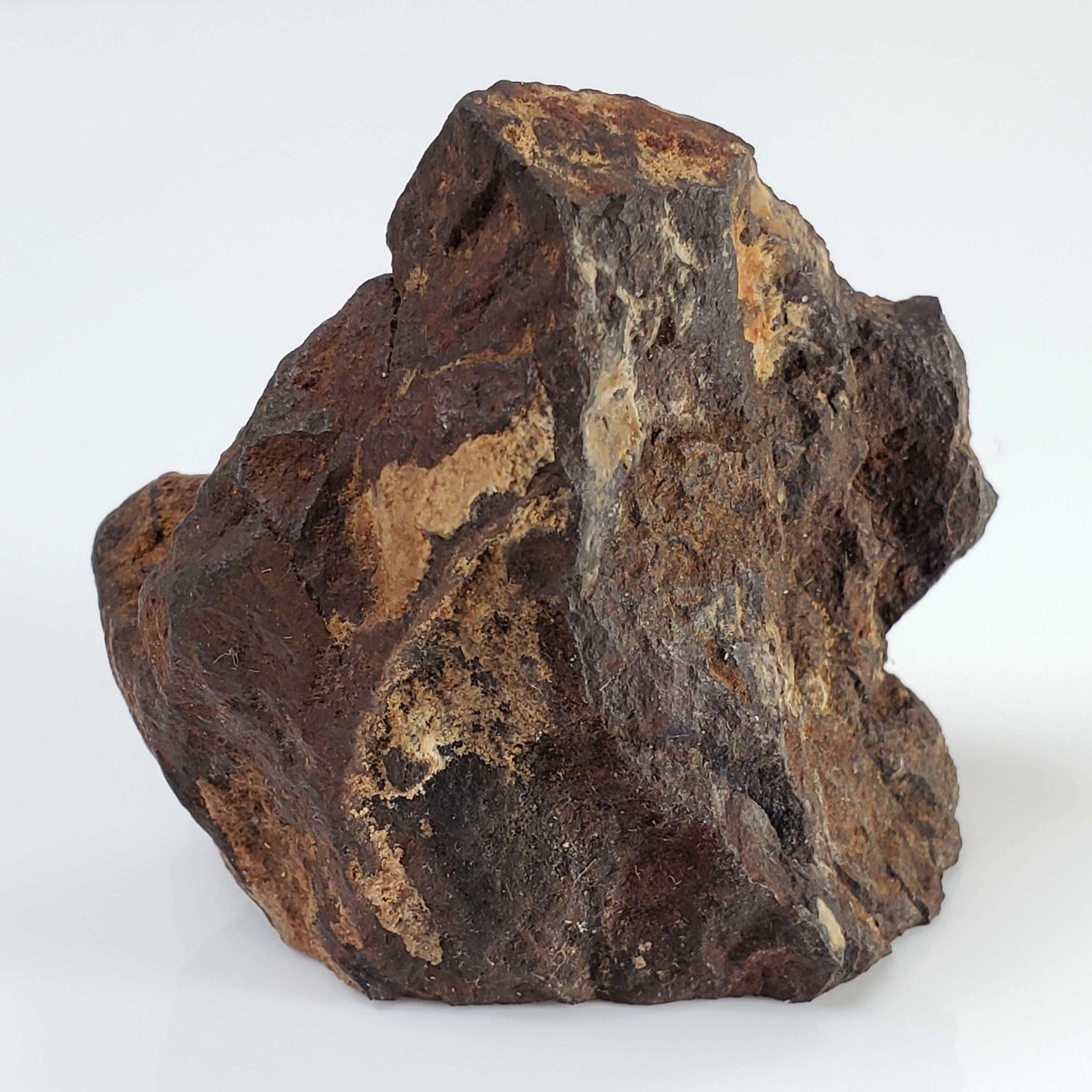  Northwest Africa NWA Meteorite | 69.9 Grams | End Cut | Sahara 2