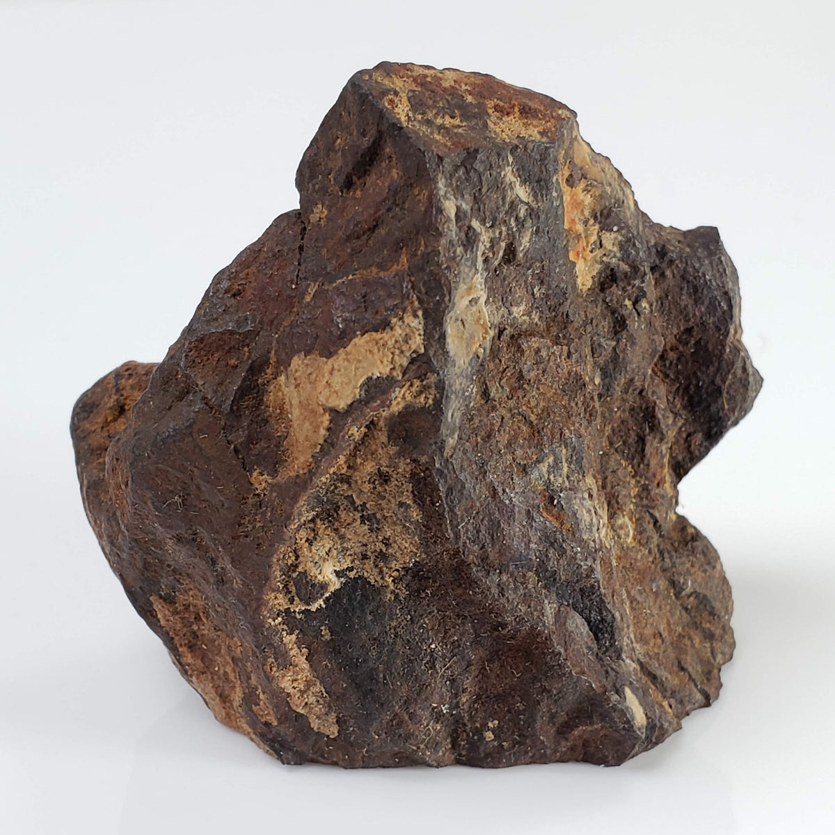  Northwest Africa NWA Meteorite | 69.9 Grams | End Cut | Sahara 2