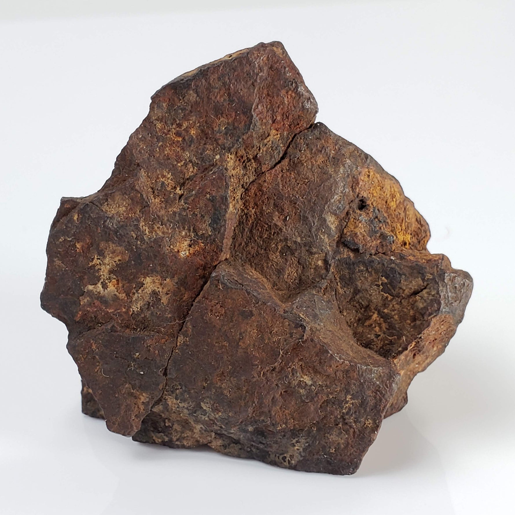  Northwest Africa NWA Meteorite | 69.9 Grams | End Cut | Sahara 3