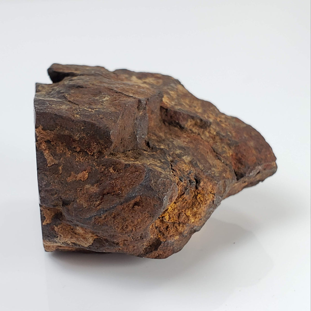  Northwest Africa NWA Meteorite | 69.9 Grams | End Cut | Sahara 6