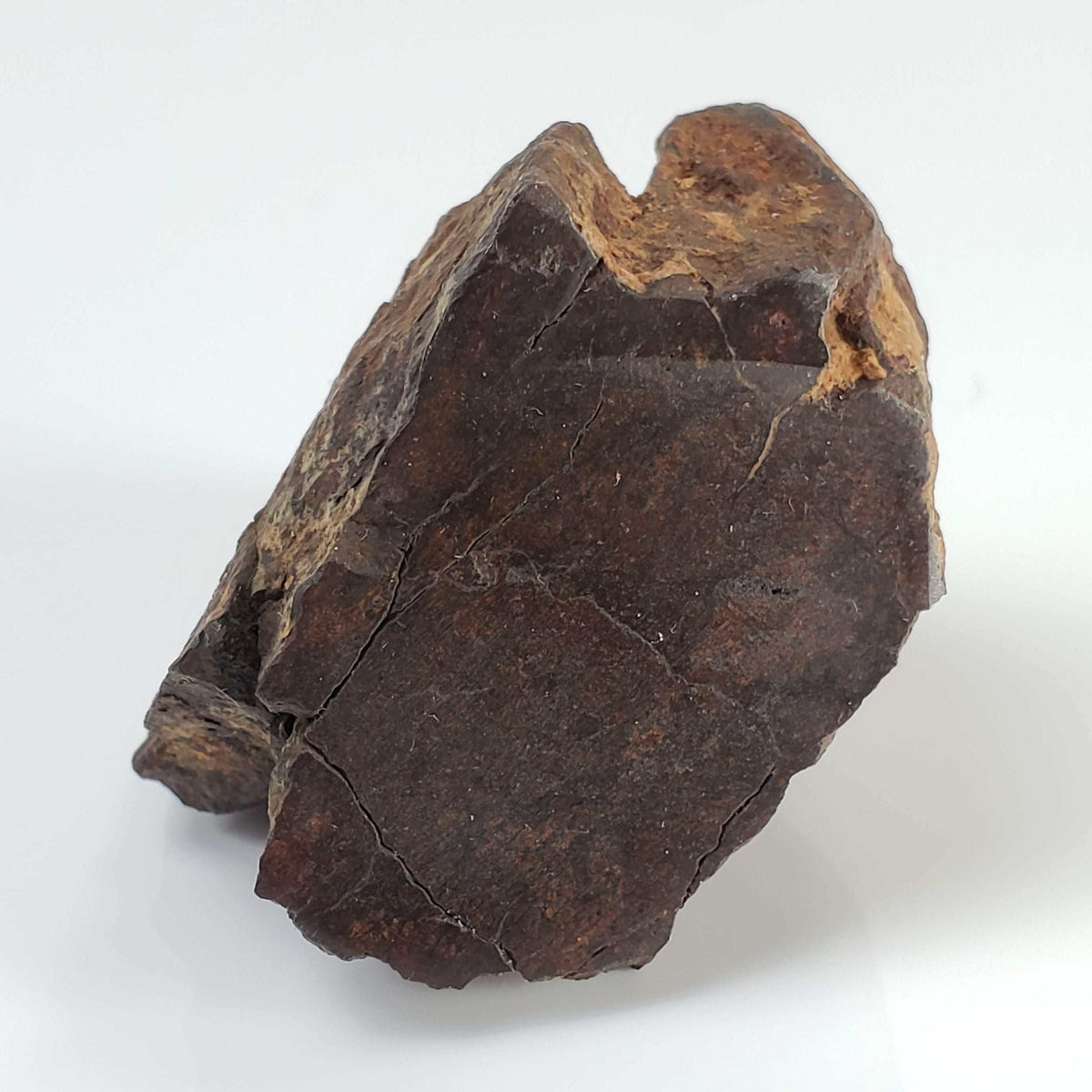  Northwest Africa NWA Meteorite | 69.9 Grams | End Cut | Sahara 5