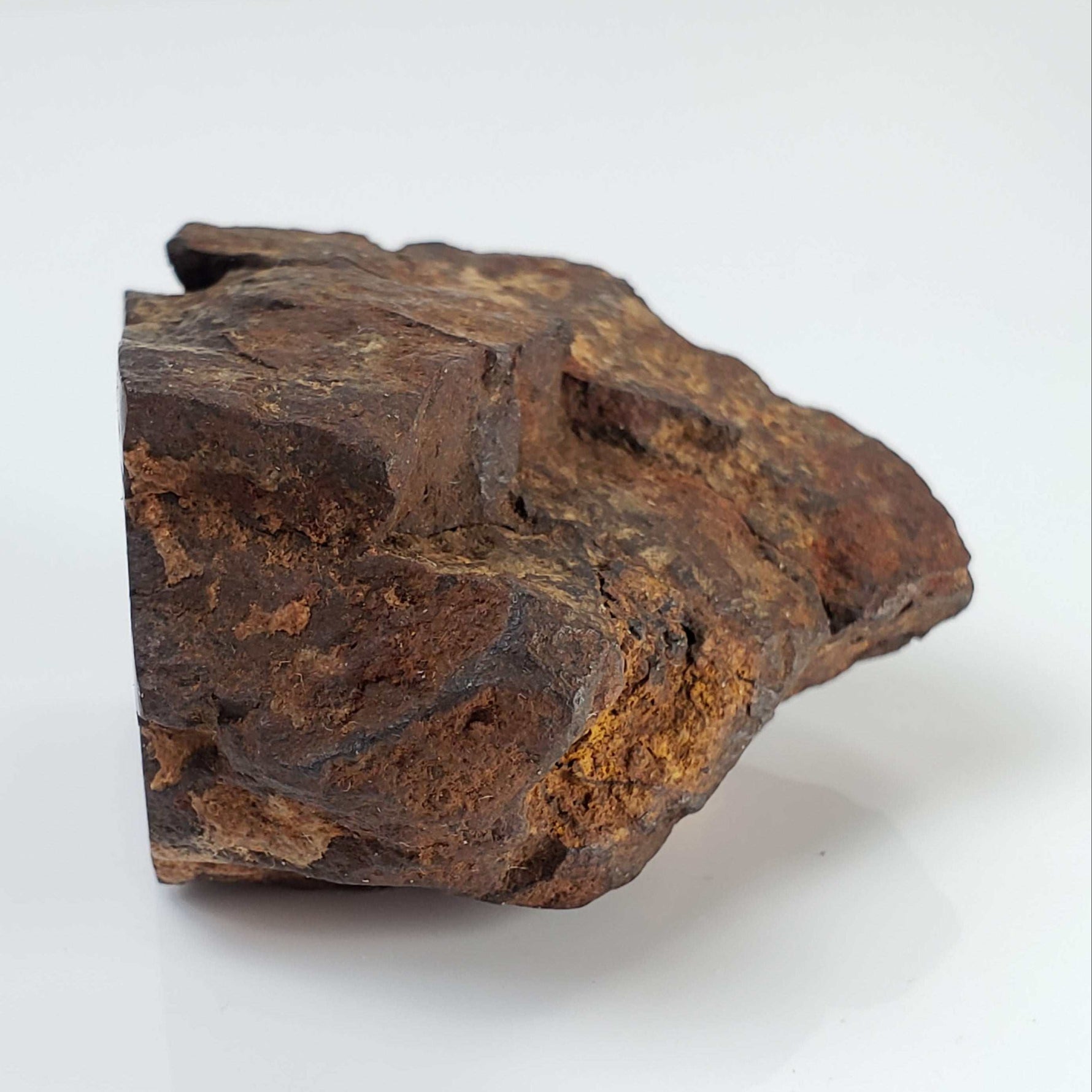  Northwest Africa NWA Meteorite | 69.9 Grams | End Cut | Sahara 6