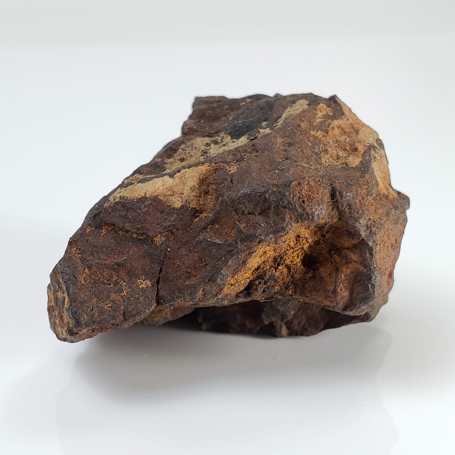  Northwest Africa NWA Meteorite | 69.9 Grams | End Cut | Sahara 7