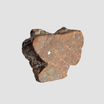  Northwest Africa NWA Meteorite | 7.47 Grams | Slice | Sahara 1