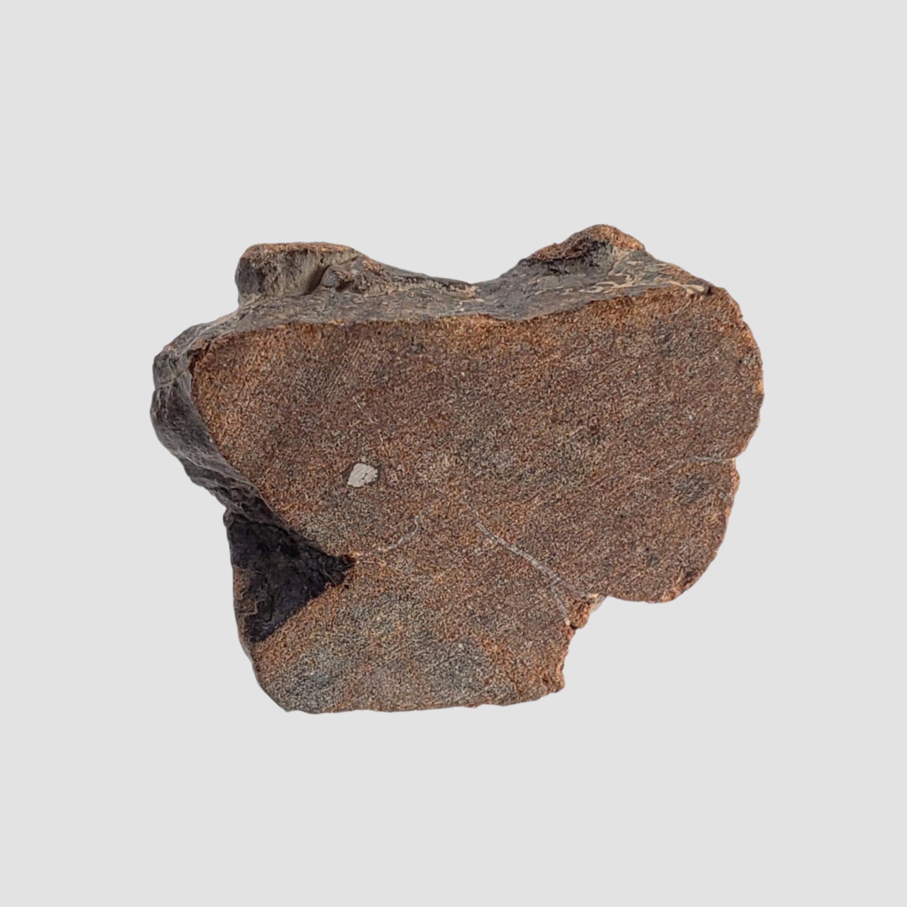  Northwest Africa NWA Meteorite | 7.47 Grams | Slice | Sahara 2