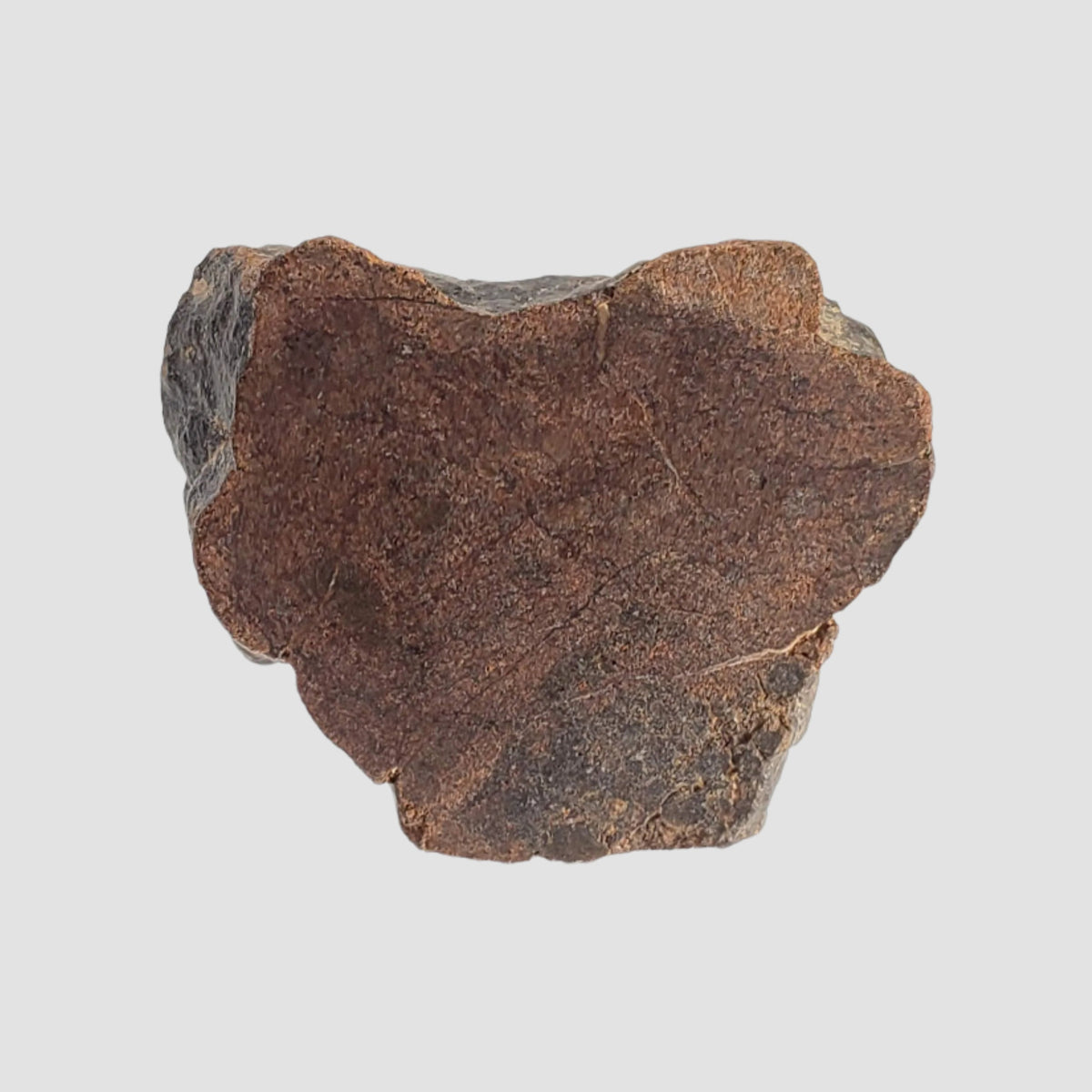  Northwest Africa NWA Meteorite | 7.47 Grams | Slice | Sahara 3