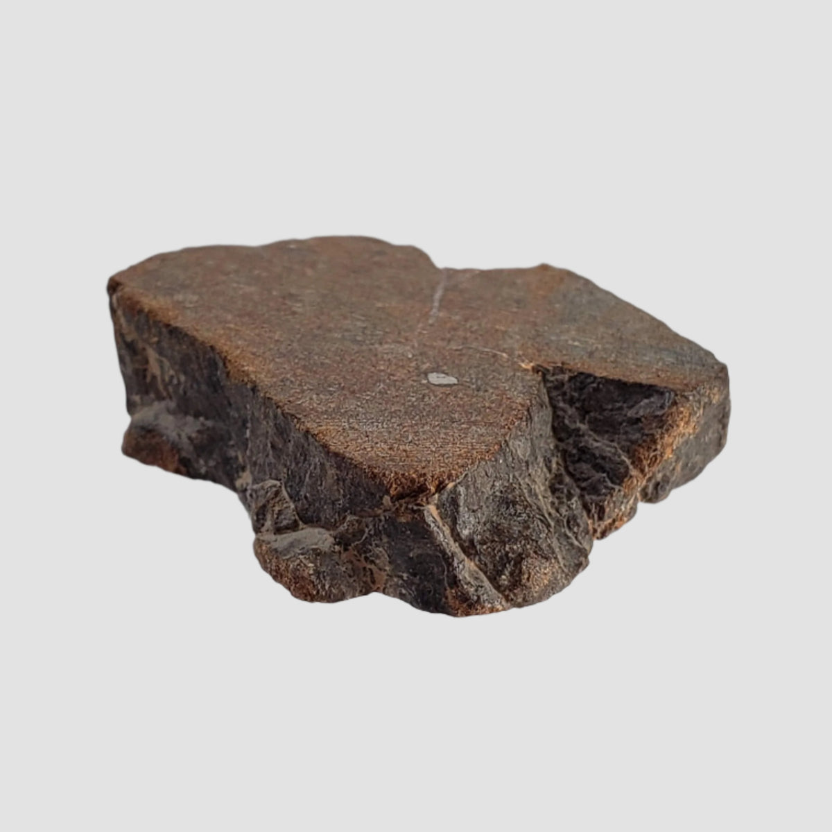  Northwest Africa NWA Meteorite | 7.47 Grams | Slice | Sahara 5