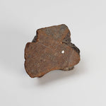  Northwest Africa NWA Meteorite | 7.47 Grams | Slice | Sahara 8