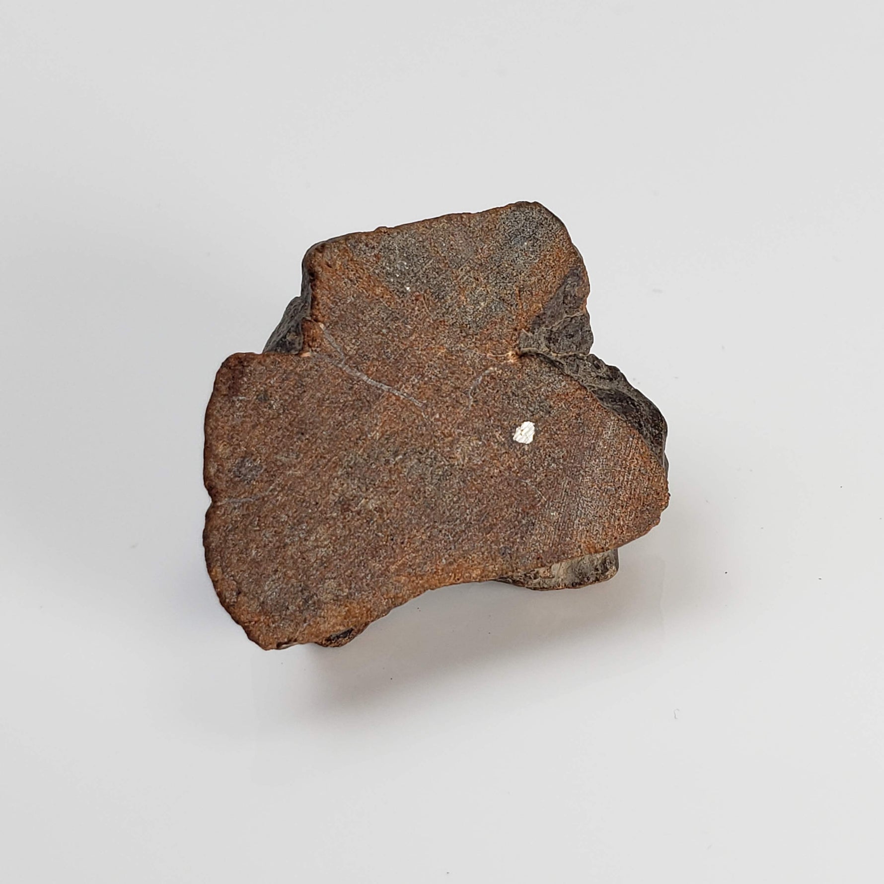  Northwest Africa NWA Meteorite | 7.47 Grams | Slice | Sahara 8