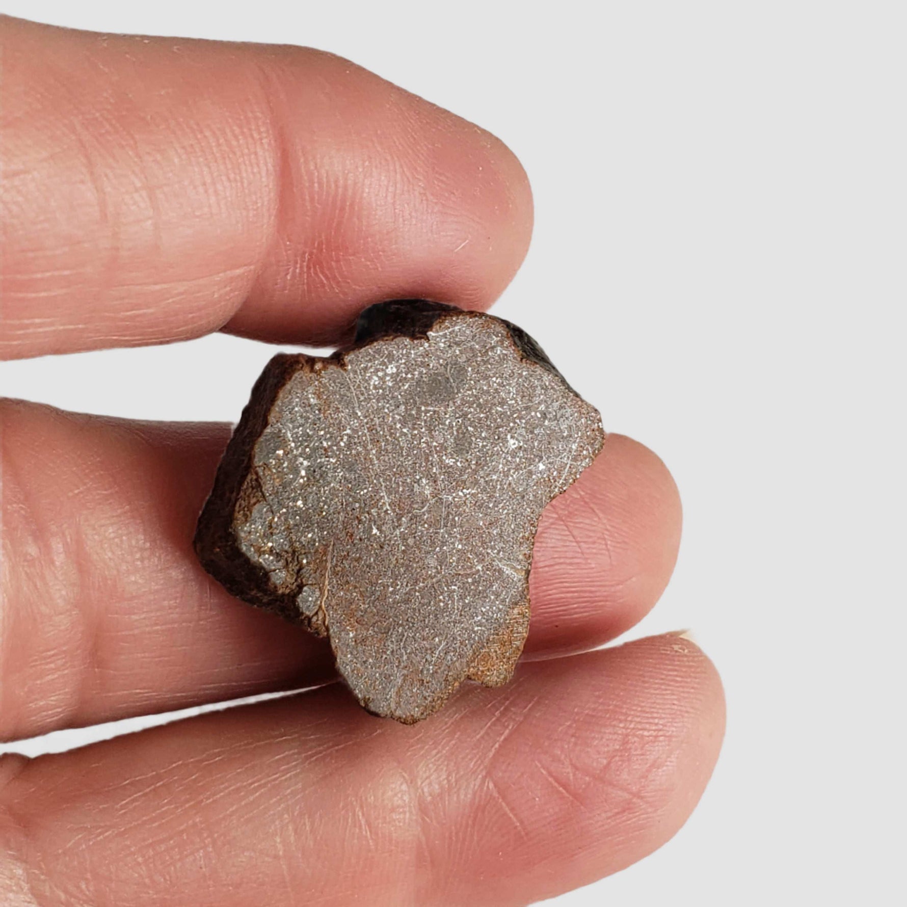  Northwest Africa NWA Meteorite | 7.47 Grams | Slice | Sahara 6