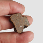  Northwest Africa NWA Meteorite | 7.47 Grams | Slice | Sahara 7