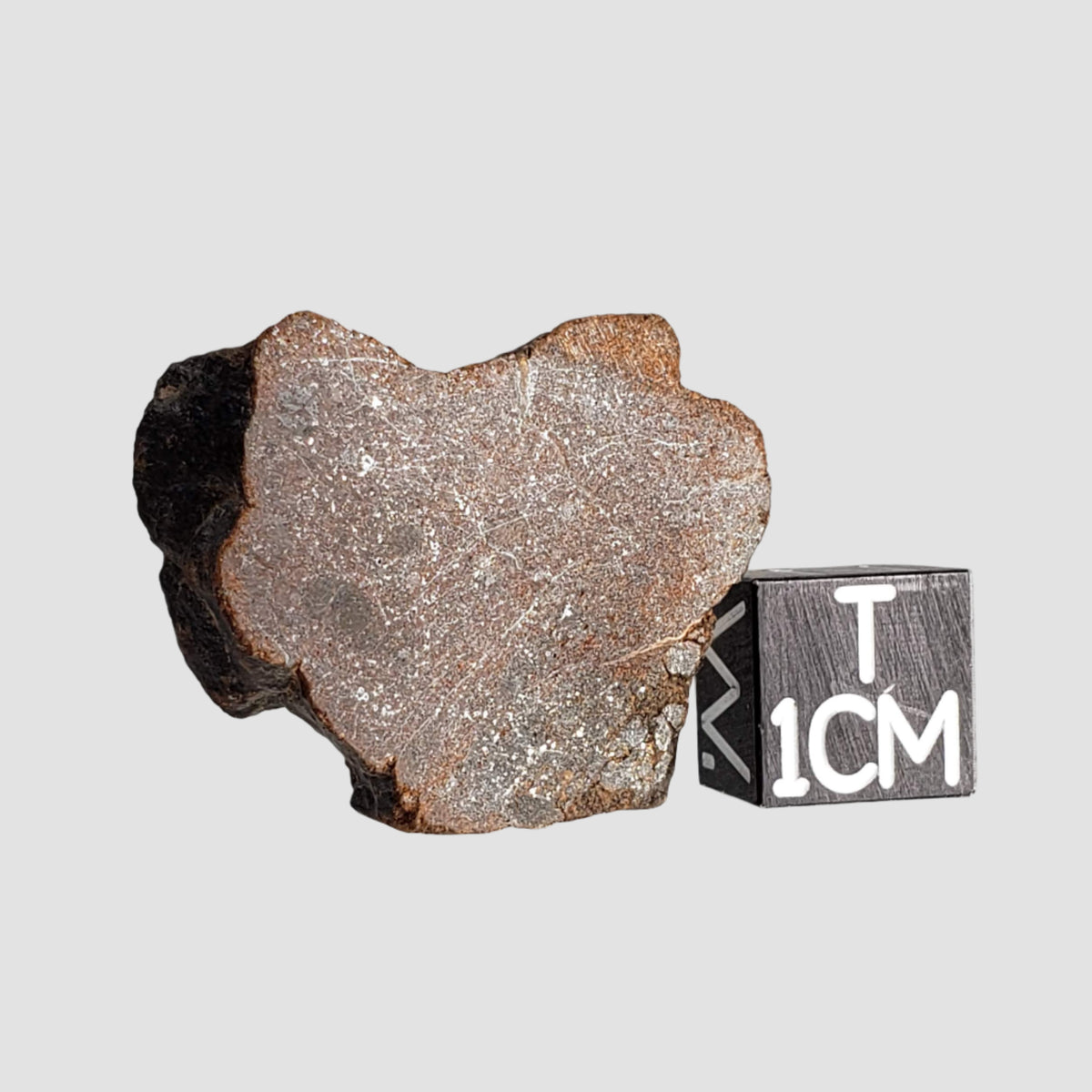  Northwest Africa NWA Meteorite | 7.47 Grams | Slice | Sahara 