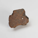  Northwest Africa NWA Meteorite | 7.47 Grams | Slice | Sahara 8