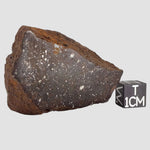  Northwest Africa NWA Meteorite | 73.75 Grams | End Cut | Sahara 