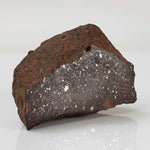  Northwest Africa NWA Meteorite | 73.75 Grams | End Cut | Sahara 6