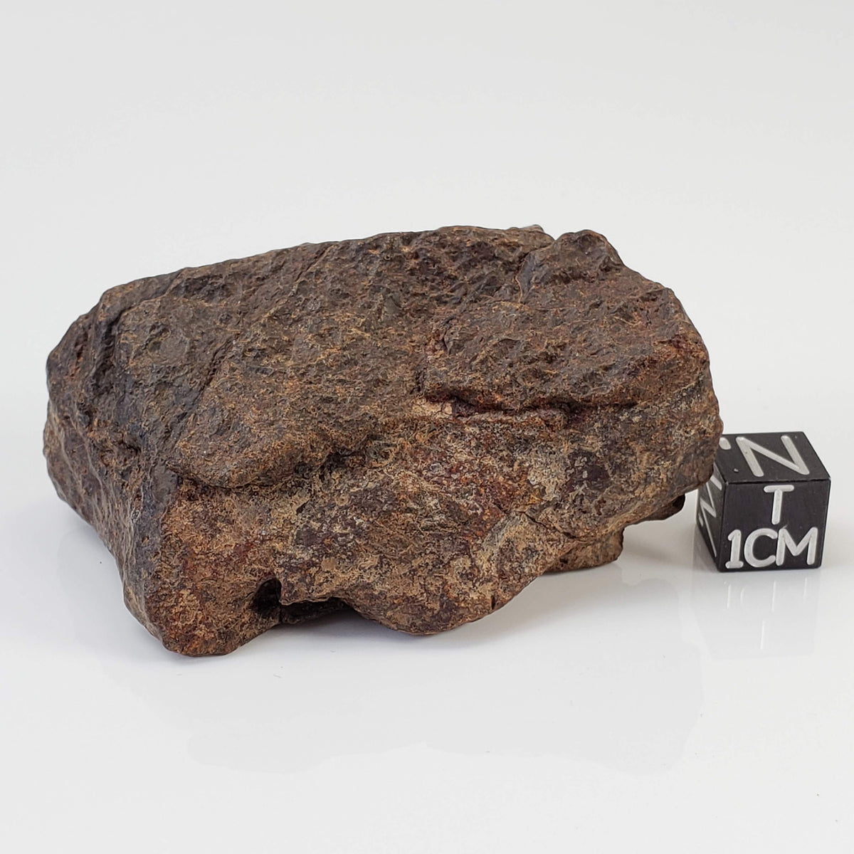  Northwest Africa NWA Meteorite | 74.2 Grams | Individual Fragment | Sahara 