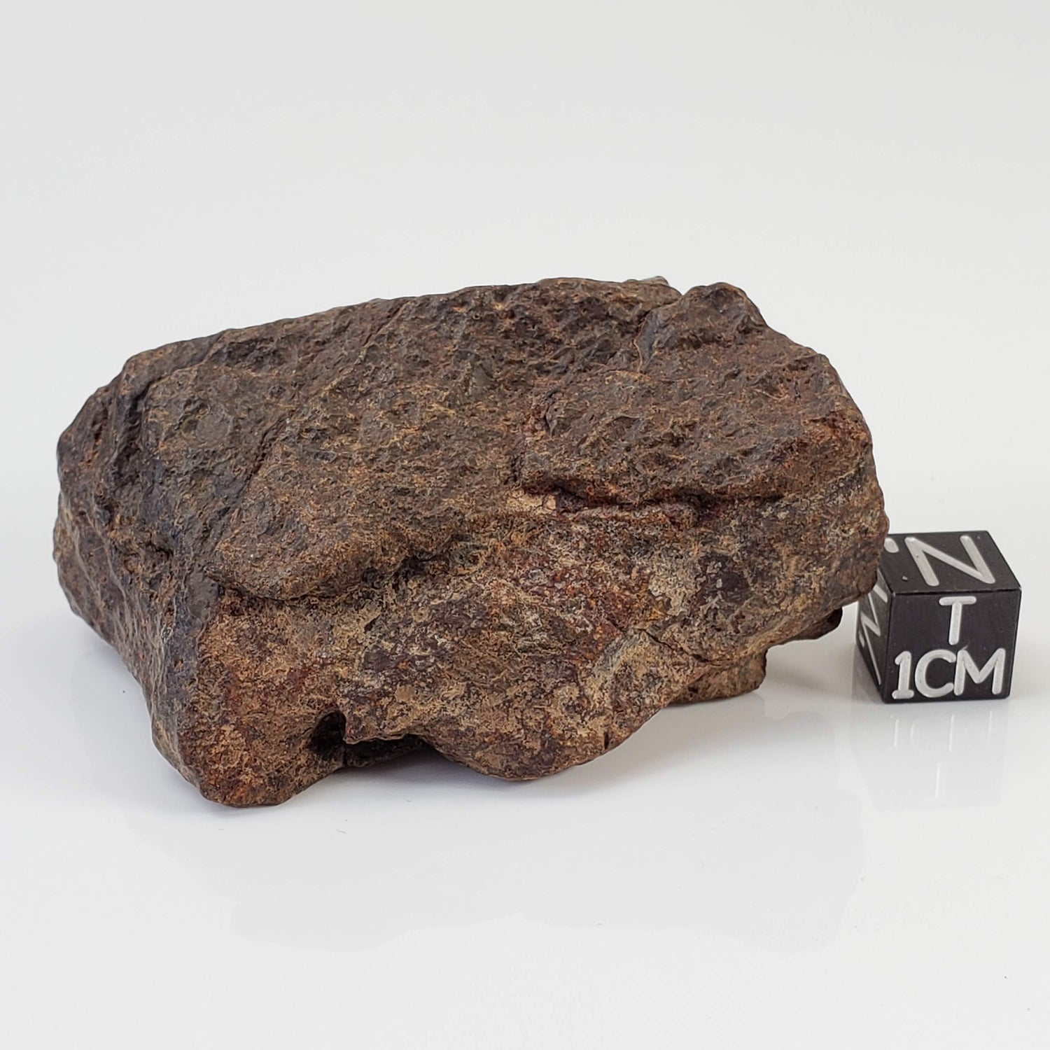  Northwest Africa NWA Meteorite | 74.2 Grams | Individual Fragment | Sahara 