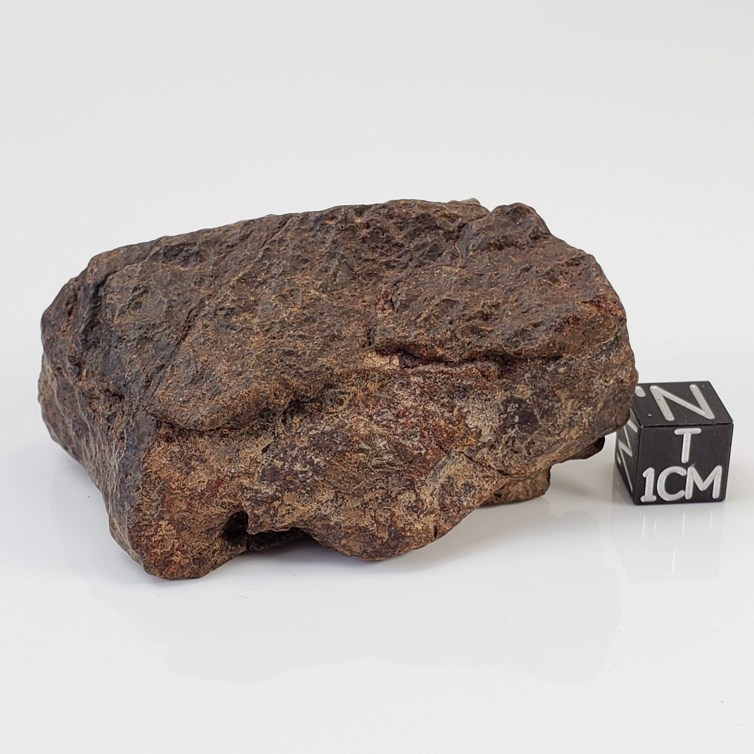  Northwest Africa NWA Meteorite | 74.2 Grams | Individual Fragment | Sahara 