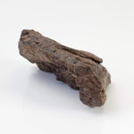  Northwest Africa NWA Meteorite | 74.2 Grams | Individual Fragment | Sahara 1