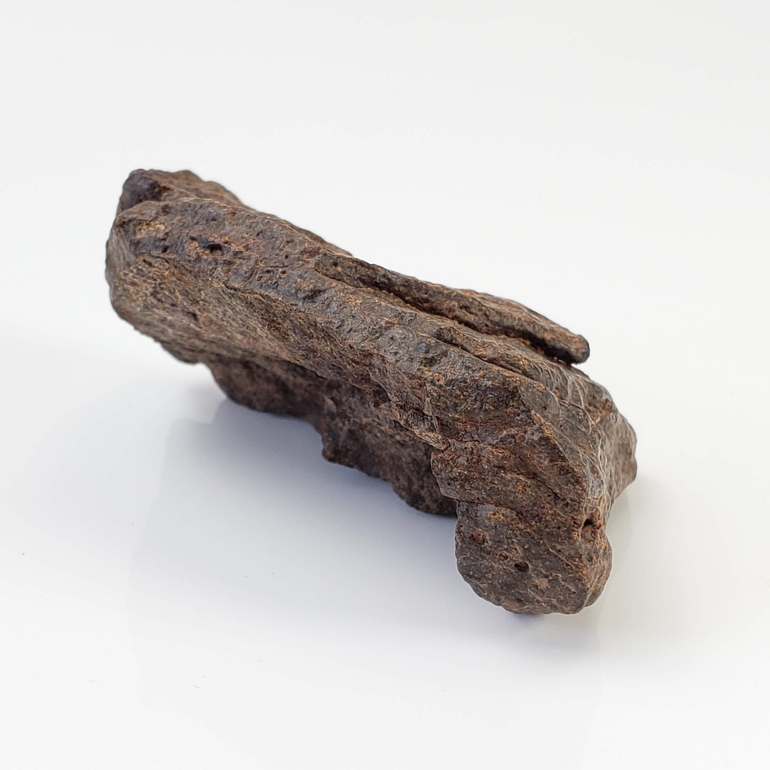  Northwest Africa NWA Meteorite | 74.2 Grams | Individual Fragment | Sahara 1