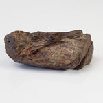  Northwest Africa NWA Meteorite | 74.2 Grams | Individual Fragment | Sahara 3