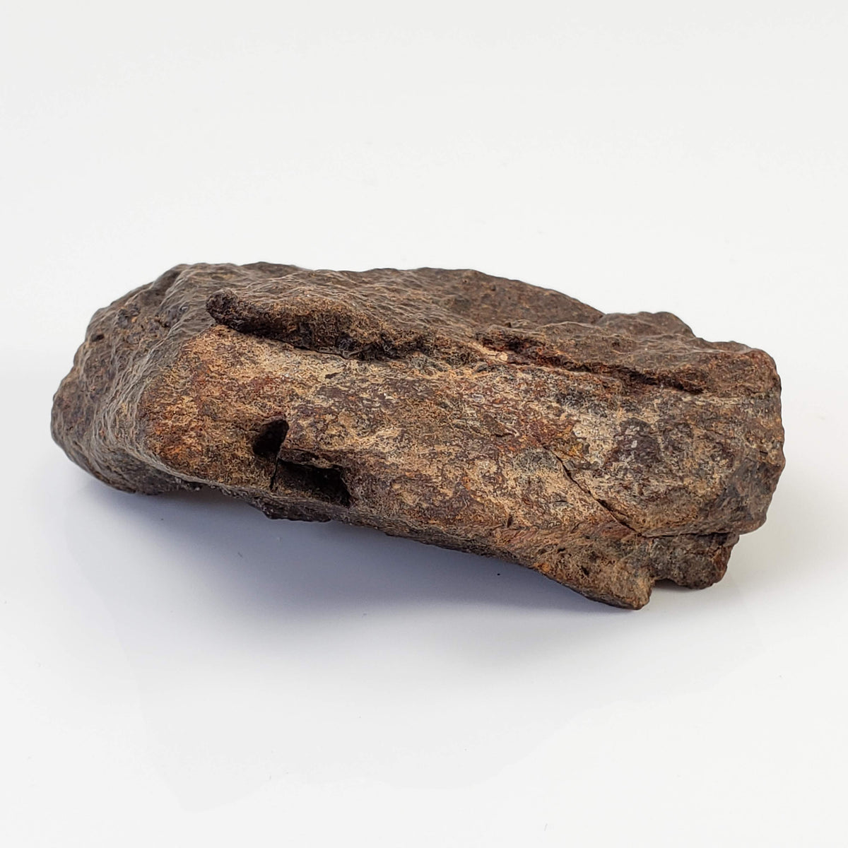  Northwest Africa NWA Meteorite | 74.2 Grams | Individual Fragment | Sahara 5