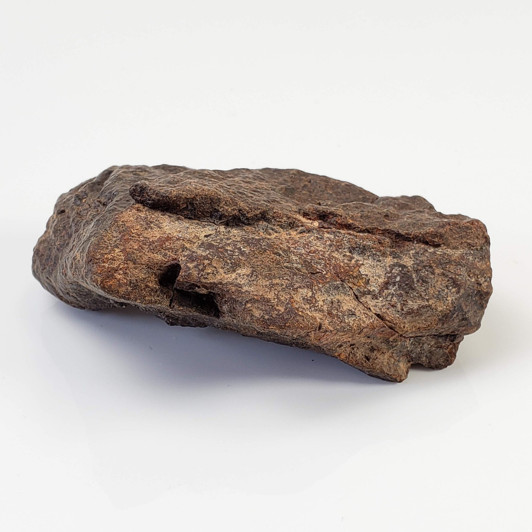  Northwest Africa NWA Meteorite | 74.2 Grams | Individual Fragment | Sahara 5