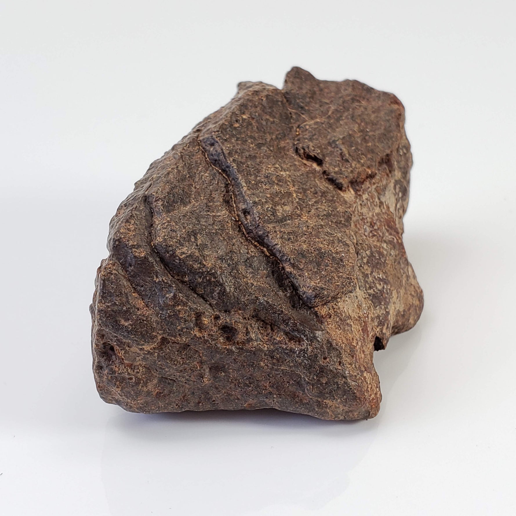  Northwest Africa NWA Meteorite | 74.2 Grams | Individual Fragment | Sahara 6