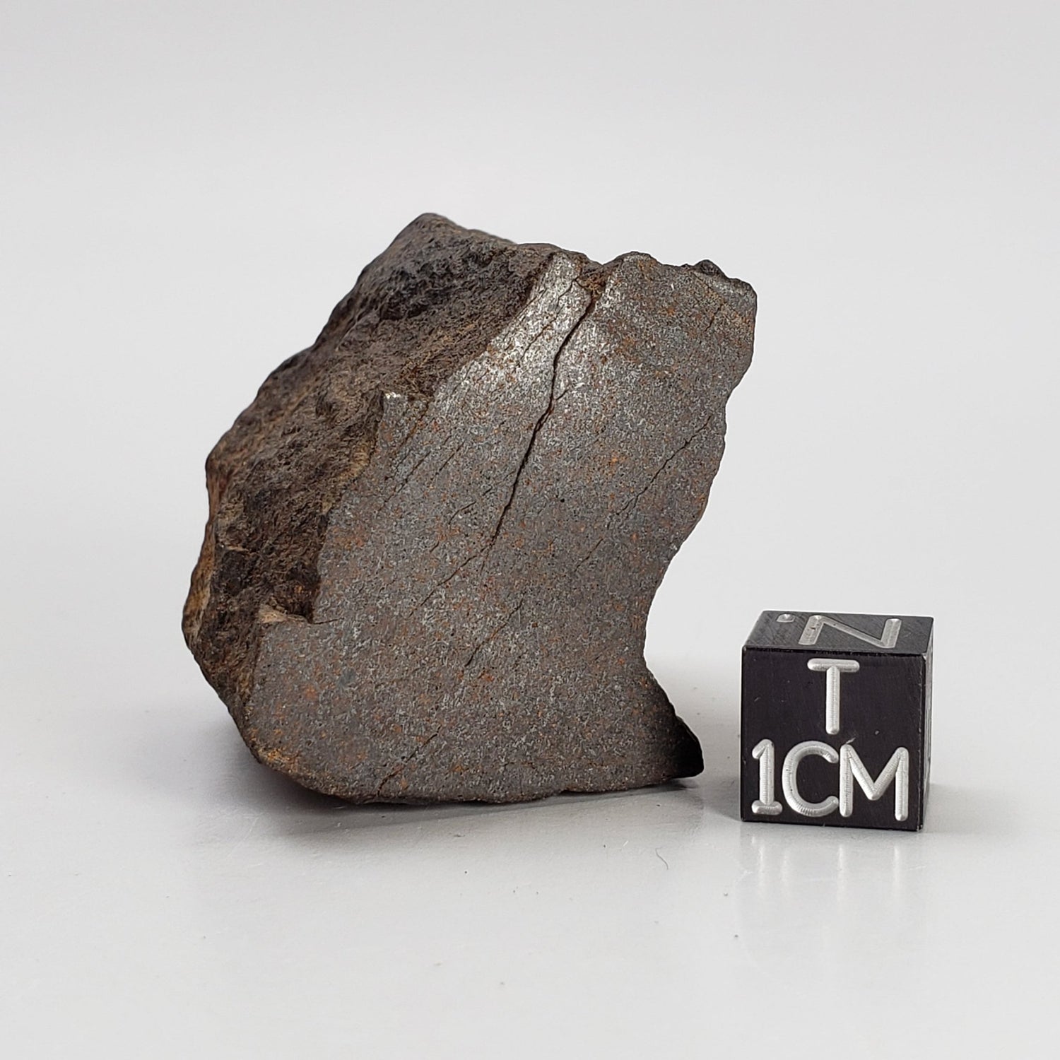  Northwest Africa NWA Meteorite | 77 Grams | Individual Cut Fragment | Sahara | SO24 