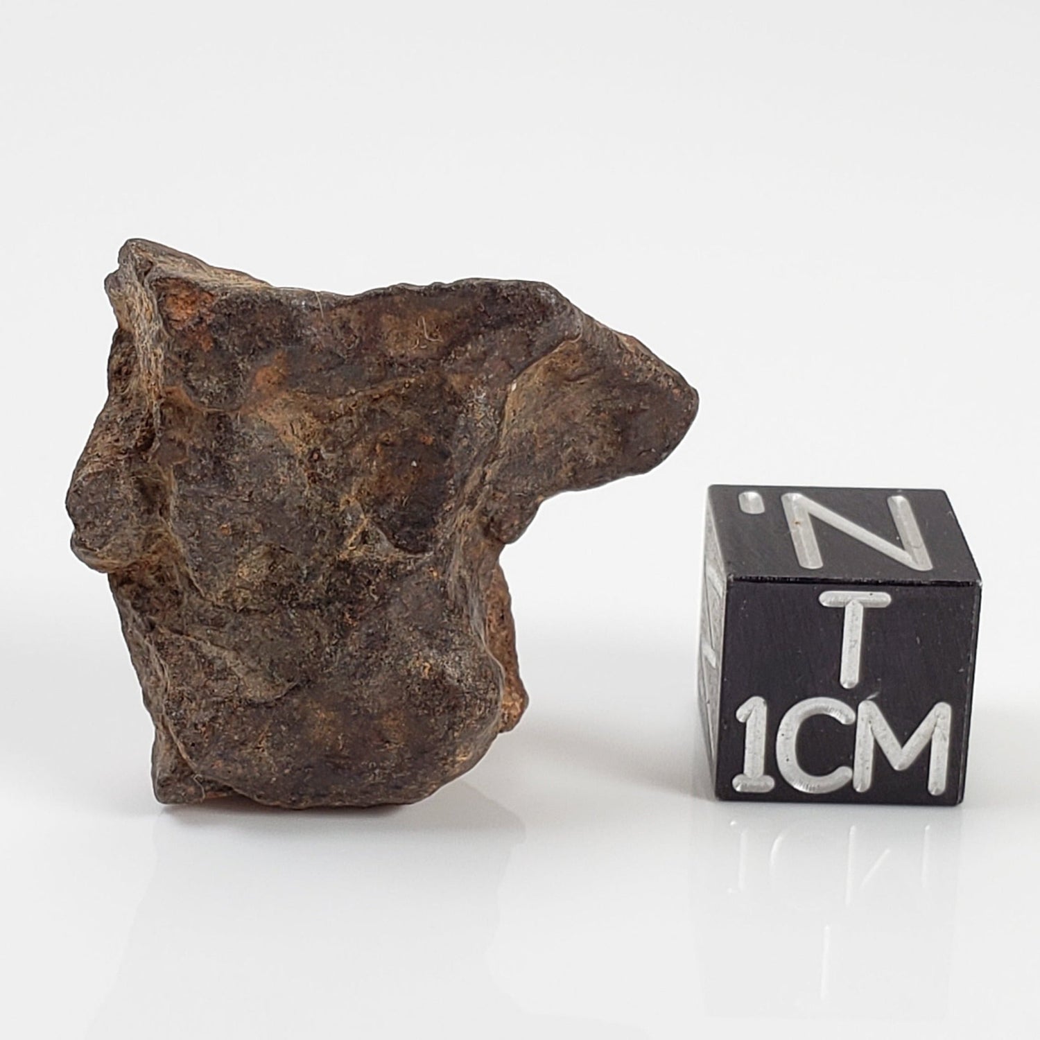  Northwest Africa NWA Meteorite | 8.4 Grams | Individual Fragment | Sahara | SO24 
