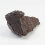  Northwest Africa NWA Meteorite | 8.79 Grams | Individual Fragment | Sahara 4
