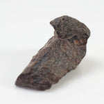  Northwest Africa NWA Meteorite | 8.79 Grams | Individual Fragment | Sahara 5