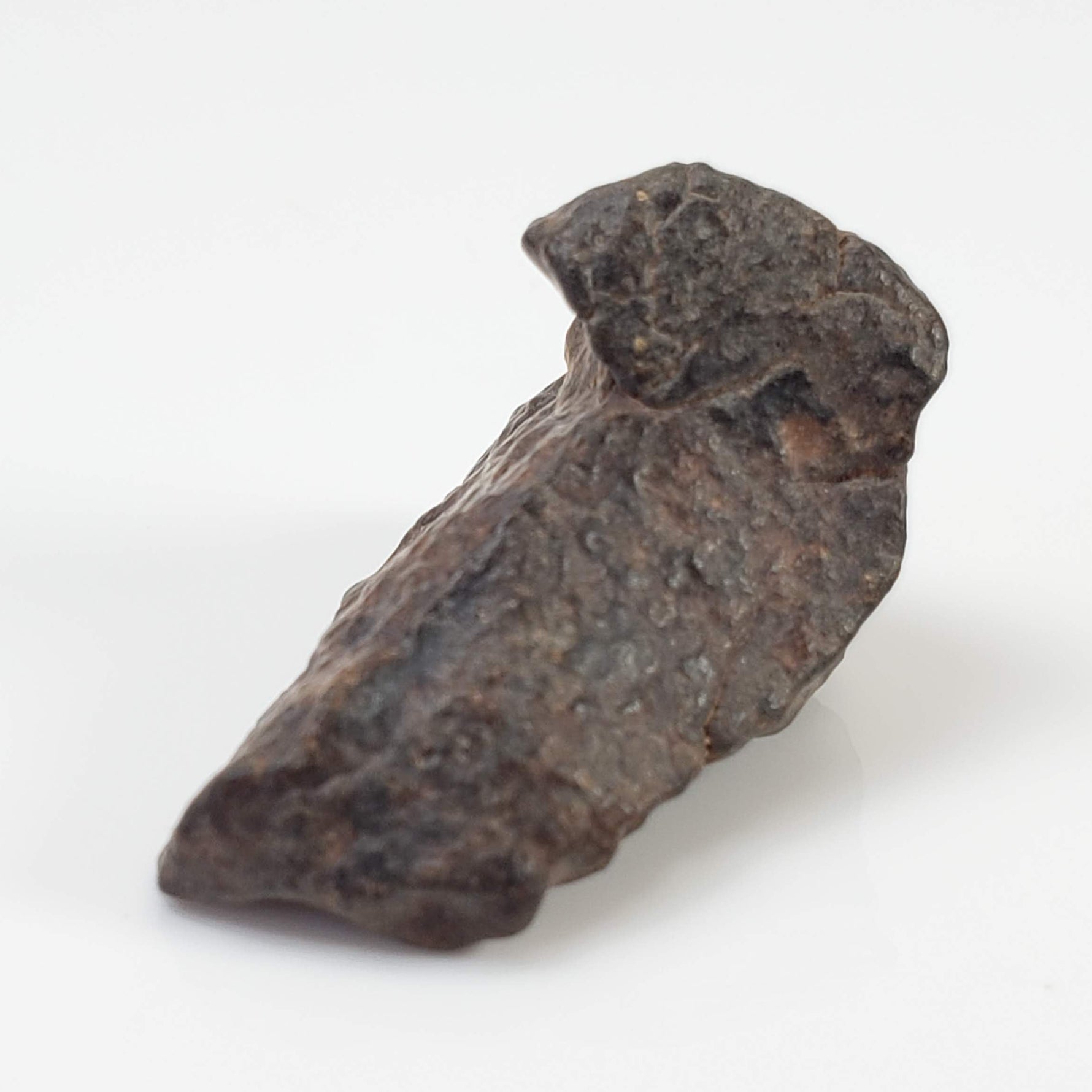  Northwest Africa NWA Meteorite | 8.79 Grams | Individual Fragment | Sahara 5