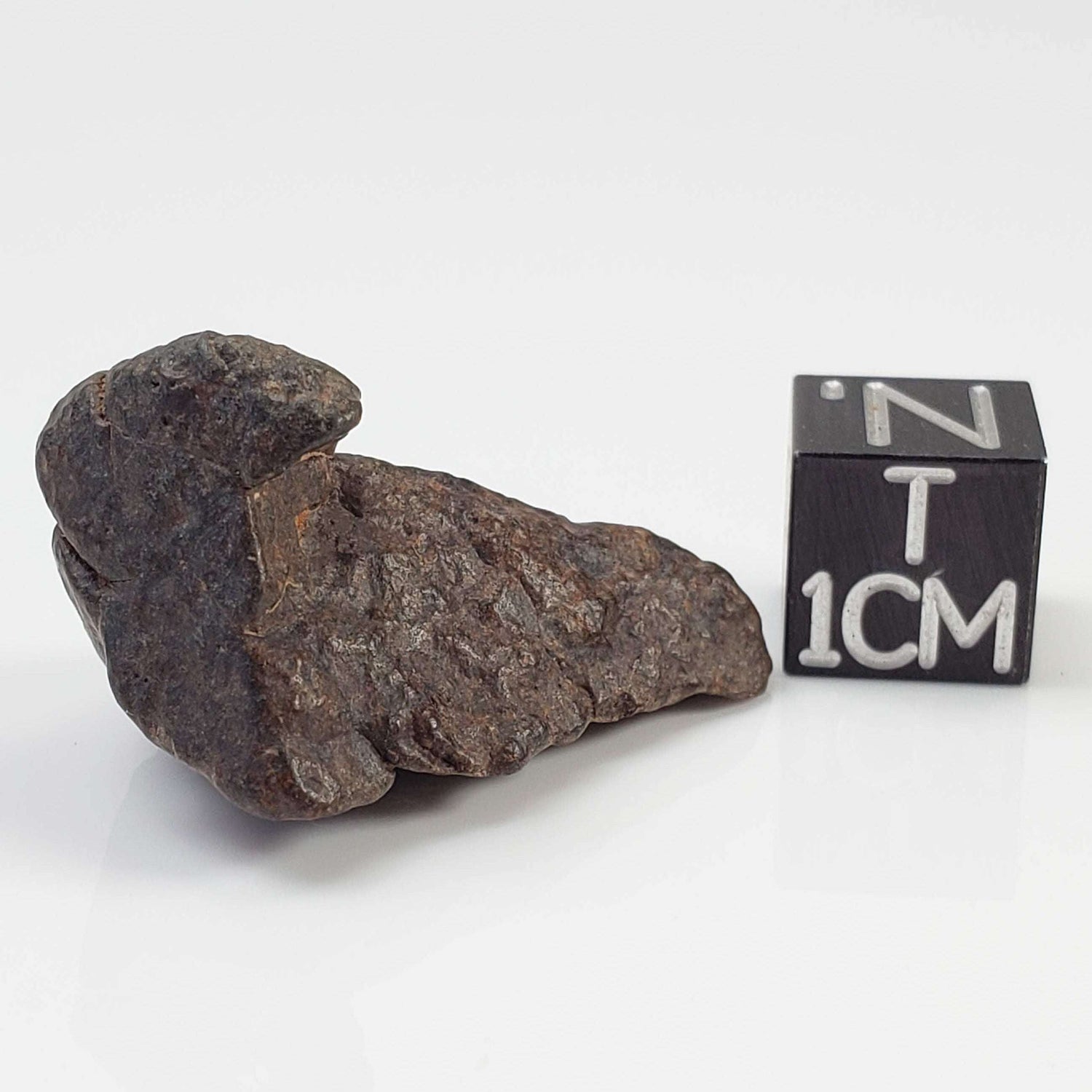  Northwest Africa NWA Meteorite | 8.79 Grams | Individual Fragment | Sahara 