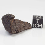  Northwest Africa NWA Meteorite | 8.79 Grams | Individual Fragment | Sahara 