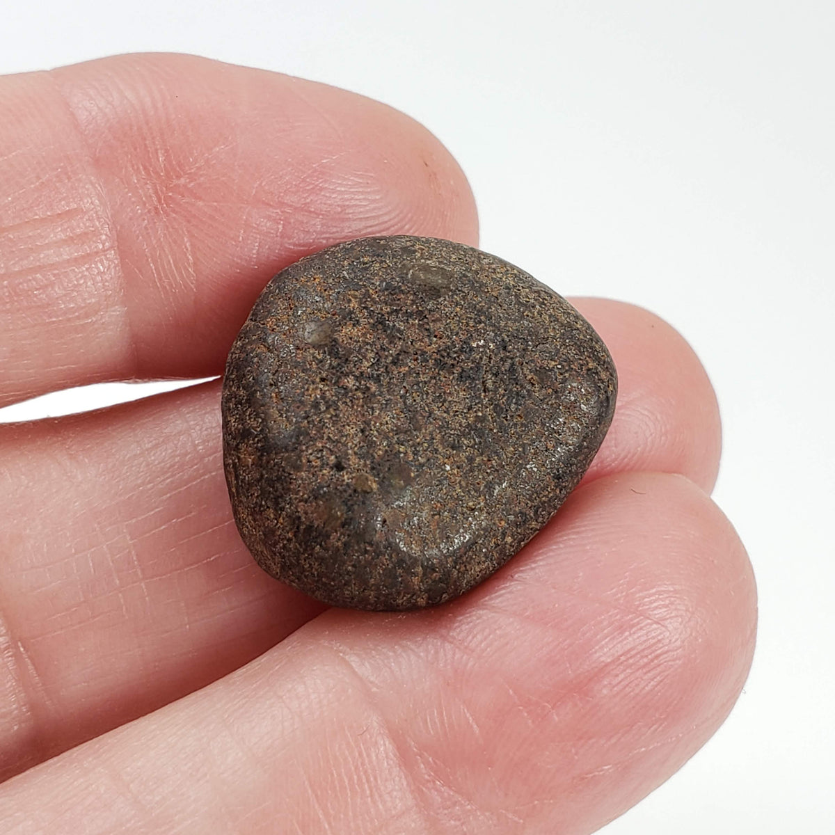  Northwest Africa NWA Meteorite | 8 Grams | Individual | Tumbled Meteorite | Sahara 2