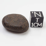  Northwest Africa NWA Meteorite | 8 Grams | Individual | Tumbled Meteorite | Sahara 