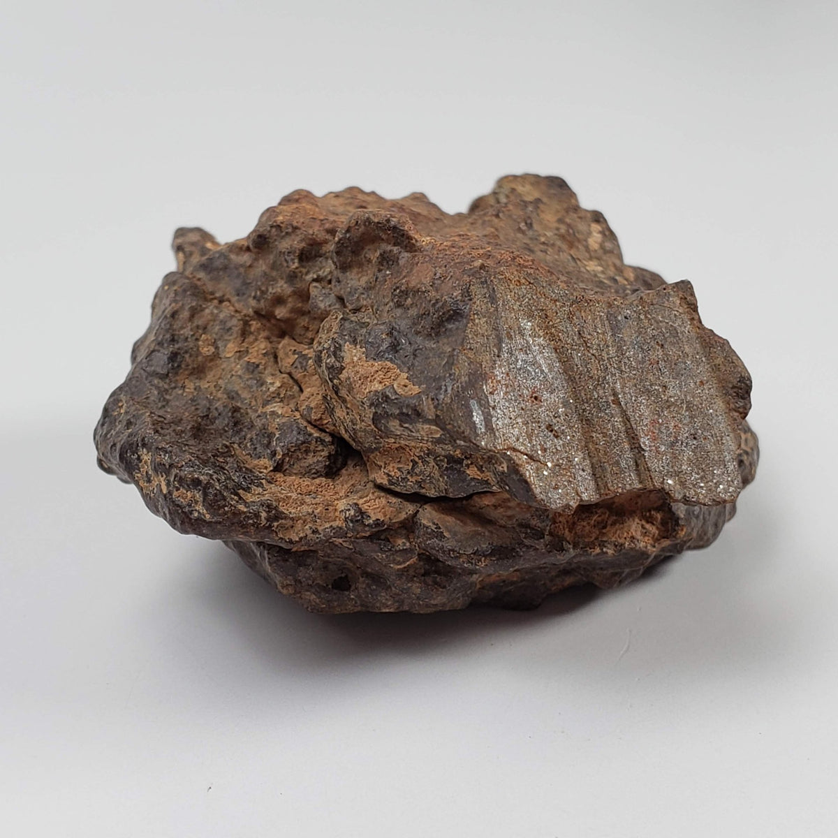  Northwest Africa NWA Meteorite | 81.9 Grams | Individual Cut Fragment | Sahara 1