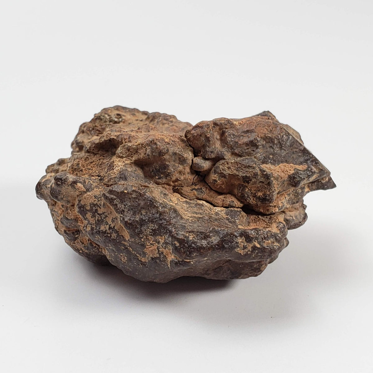  Northwest Africa NWA Meteorite | 81.9 Grams | Individual Cut Fragment | Sahara 2