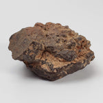  Northwest Africa NWA Meteorite | 81.9 Grams | Individual Cut Fragment | Sahara 3