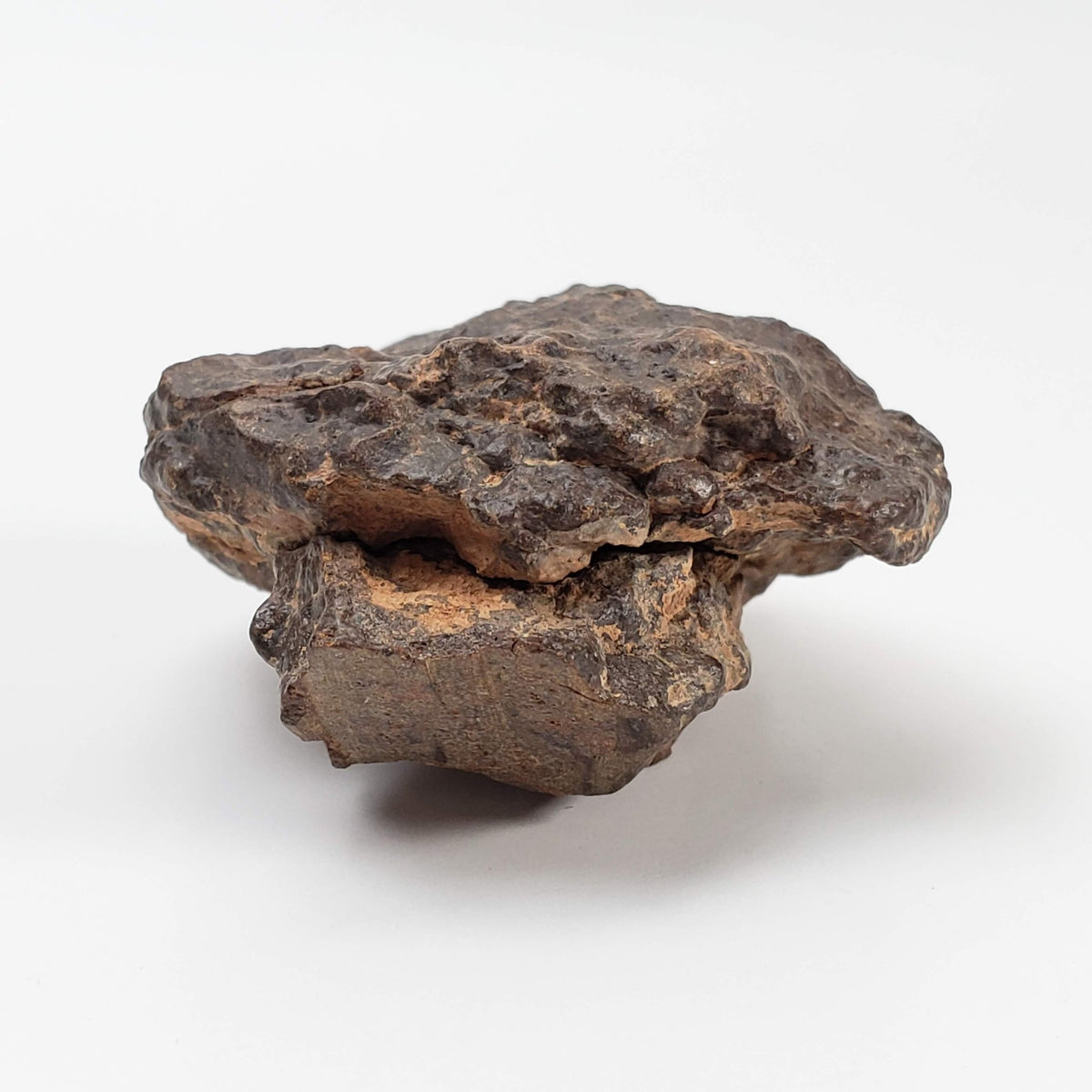  Northwest Africa NWA Meteorite | 81.9 Grams | Individual Cut Fragment | Sahara 5