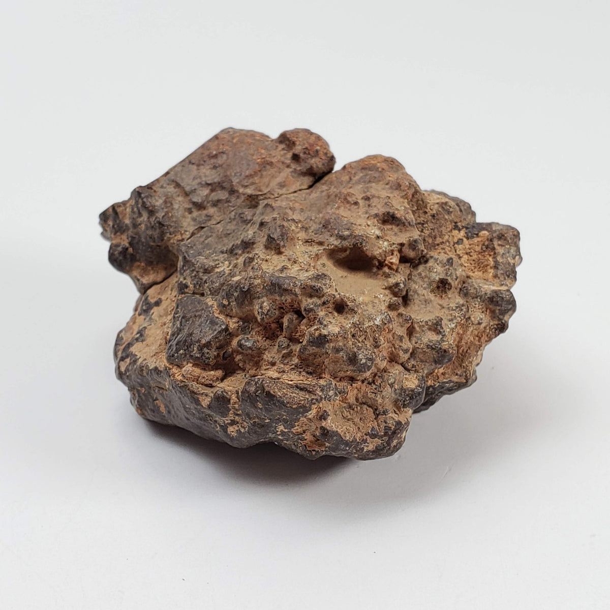  Northwest Africa NWA Meteorite | 81.9 Grams | Individual Cut Fragment | Sahara 6