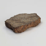  Northwest Africa NWA Meteorite | 9.0 Grams | Slice | Sahara 2